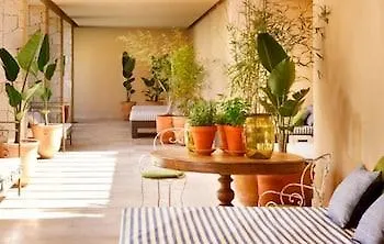 Hotel The At Gran Bahia Del Duque